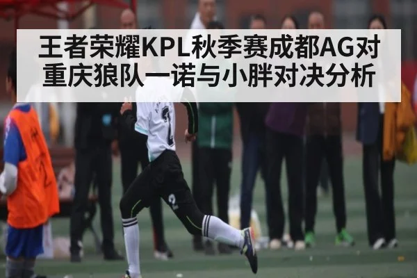 王者荣耀KPL秋季赛成都AG对重庆狼队一诺与小胖对决分析（NG28APP）